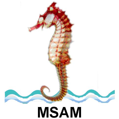 Marine Science Association Myanmar